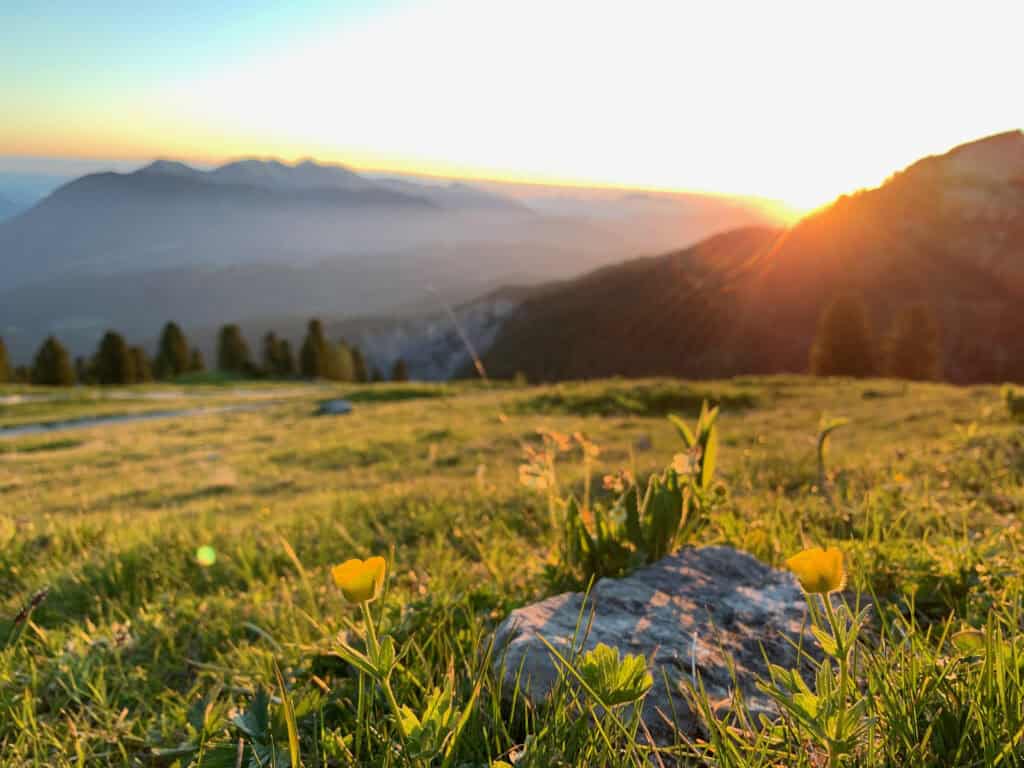 Morgensonne über einer grünen Wiese mit Blumen und Felsen, Blick auf die Berge im Hintergrund, ruhige Naturkulisse für Entspannung und Energiearbeit.